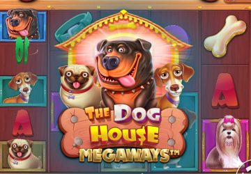 Игровой автомат The Dog House Megaways в Амиго Винс казино