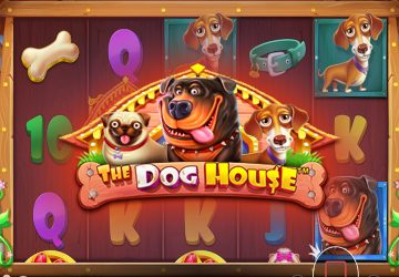 Игра The Dog House в Амиго Винс казино